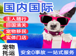 大同航空物流国际宠物托运 【国